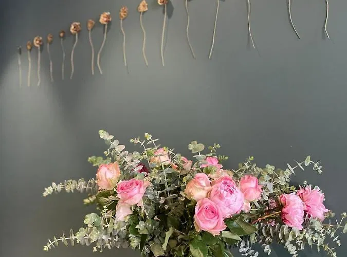 Gasthuis Toctoctoc Lissabon